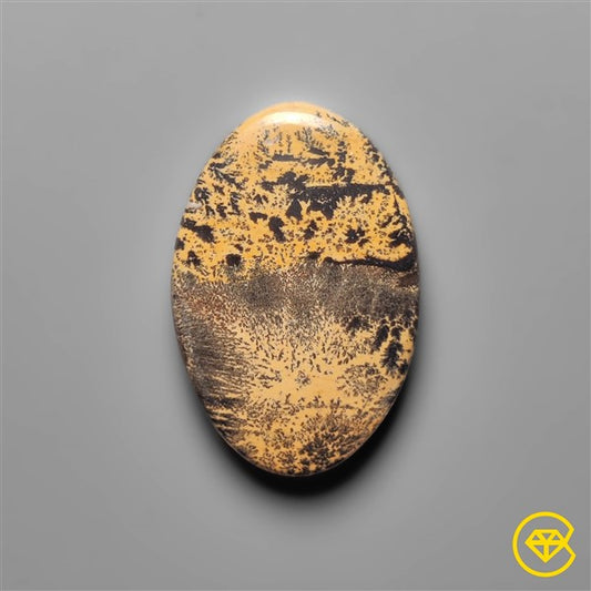 Sagebrush Jasper