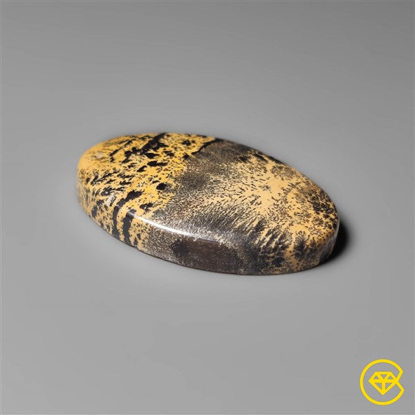 Sagebrush Jasper