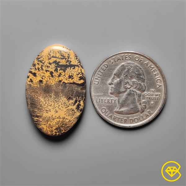 Sagebrush Jasper