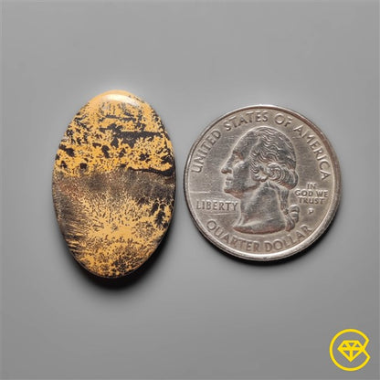 Sagebrush Jasper