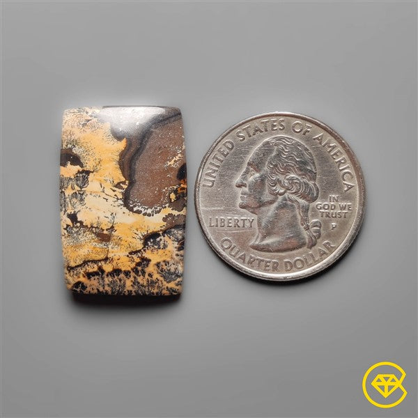 Sagebrush Jasper
