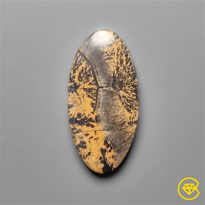 Sagebrush Jasper