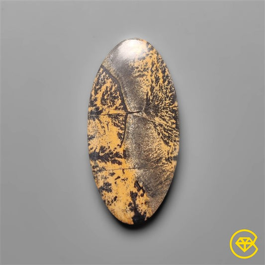 Sagebrush Jasper