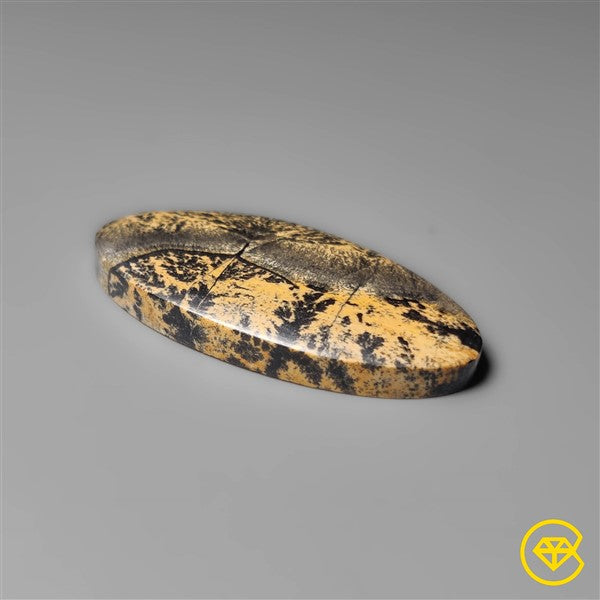 Sagebrush Jasper