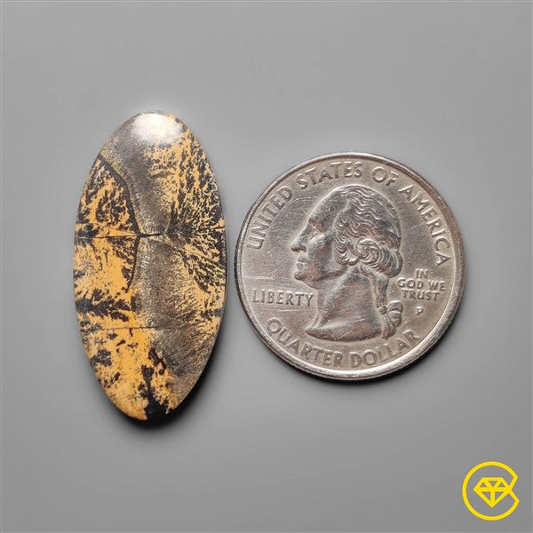Sagebrush Jasper