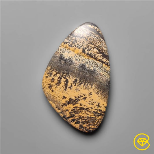 Sagebrush Jasper