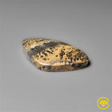 Sagebrush Jasper