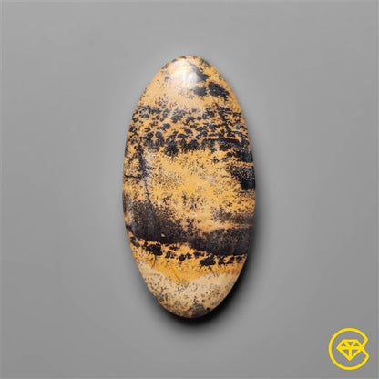 Sagebrush Jasper