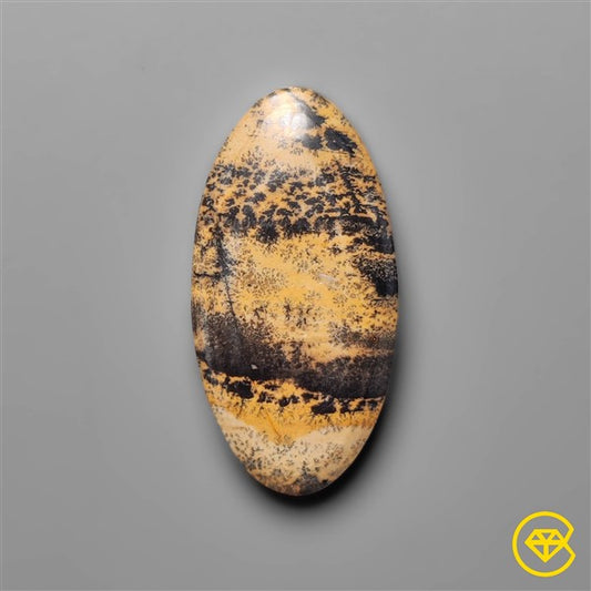 Sagebrush Jasper