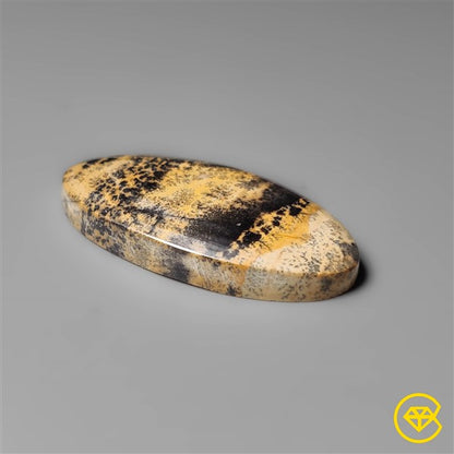 Sagebrush Jasper