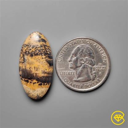 Sagebrush Jasper