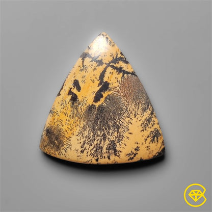 Sagebrush Jasper