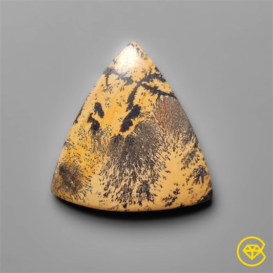 Sagebrush Jasper