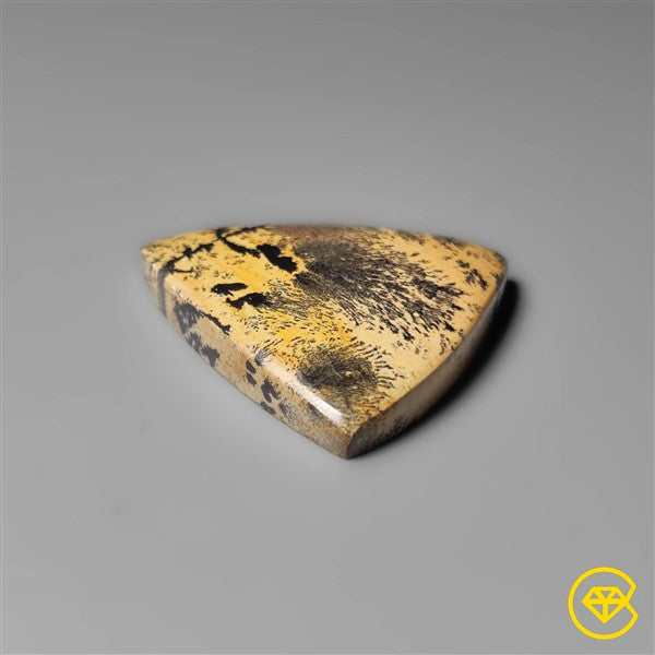 Sagebrush Jasper