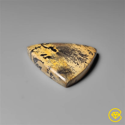 Sagebrush Jasper