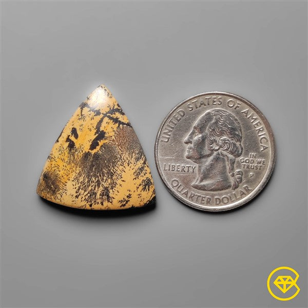 Sagebrush Jasper