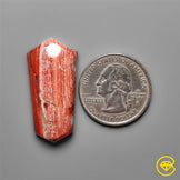 Snakeskin Jasper