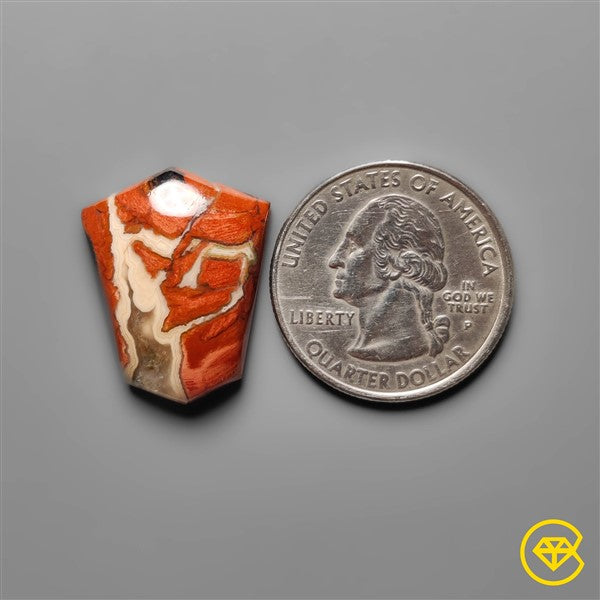 Snakeskin Jasper