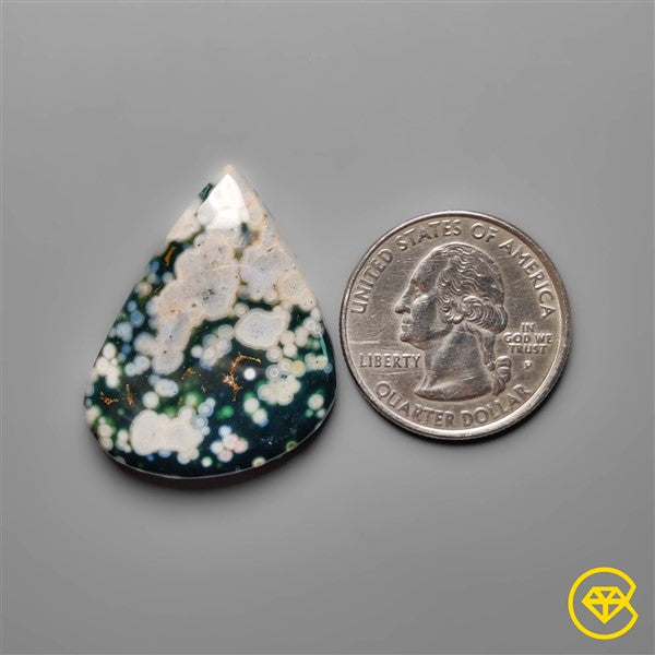 Ocean Jasper