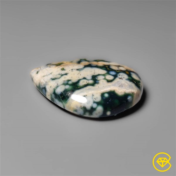 Ocean Jasper