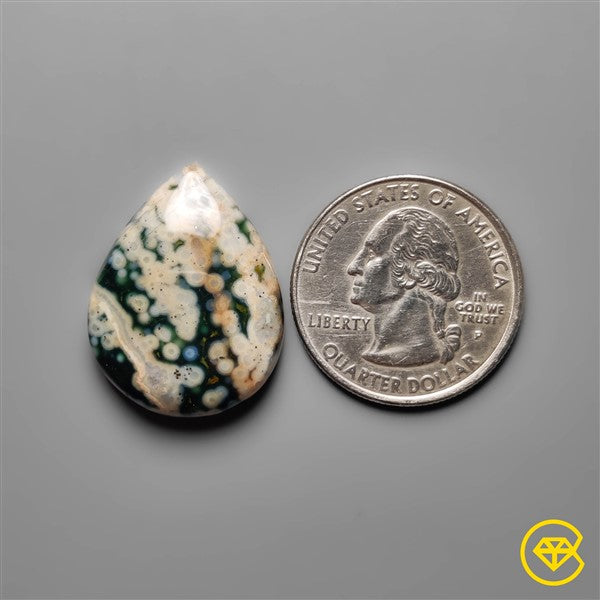 Ocean Jasper