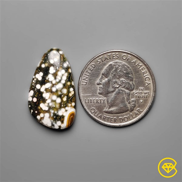 Ocean Jasper