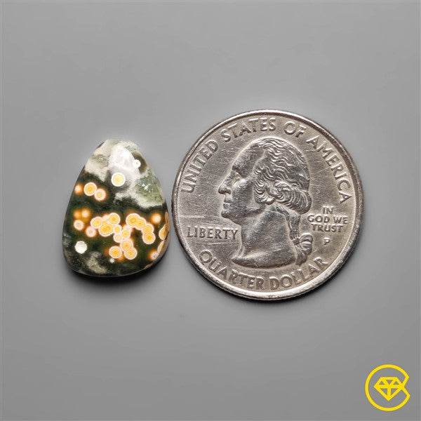 Ocean Jasper