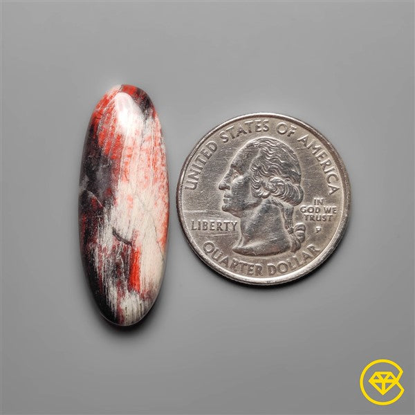 Snakeskin Jasper