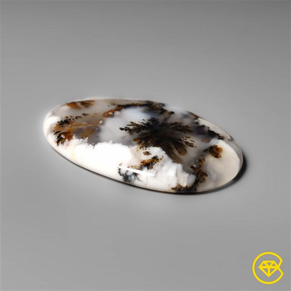 Dendritic Agate