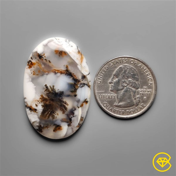 Dendritic Agate