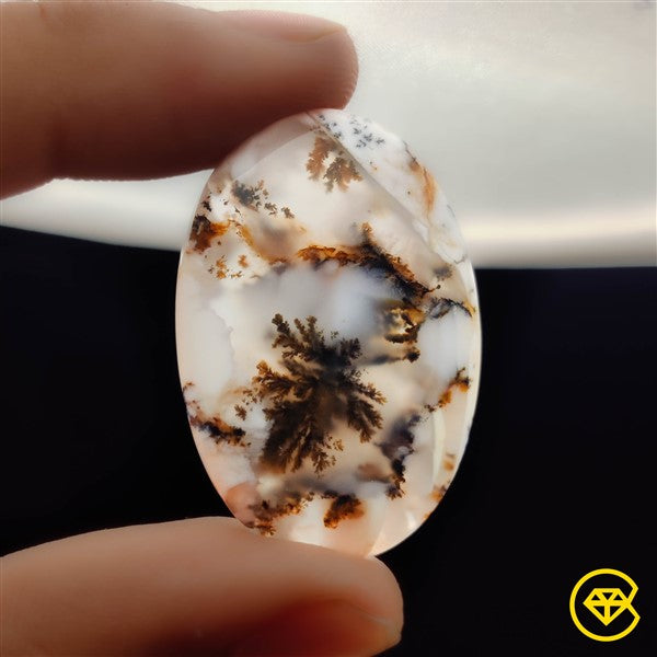 Dendritic Agate
