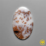 Dendritic Agate