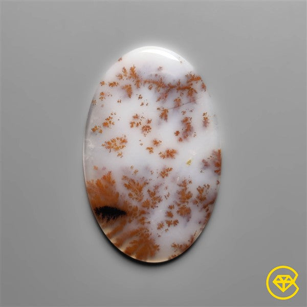 Dendritic Agate