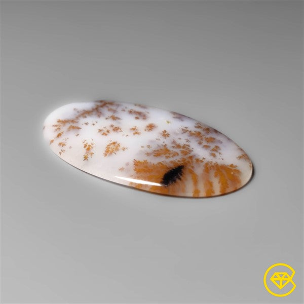 Dendritic Agate