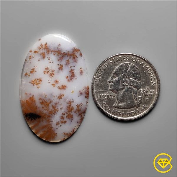 Dendritic Agate
