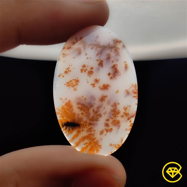 Dendritic Agate