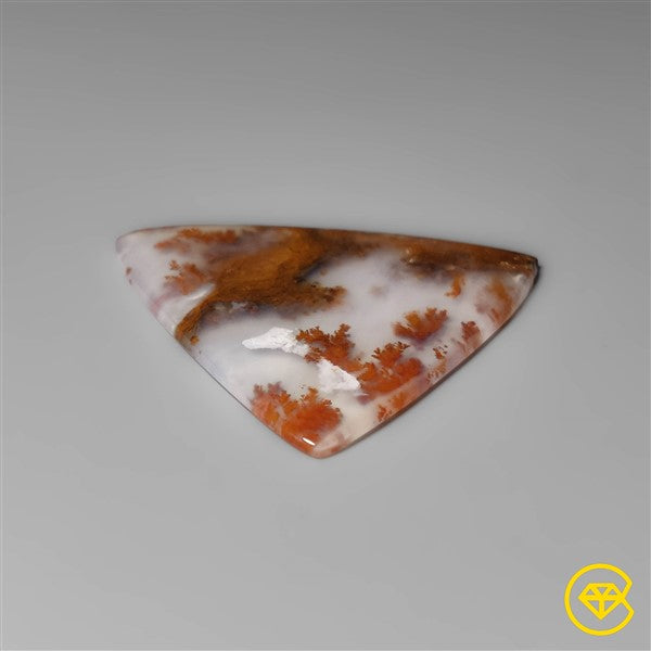Dendritic Agate