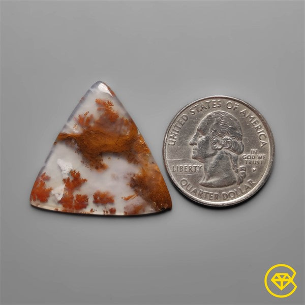 Dendritic Agate