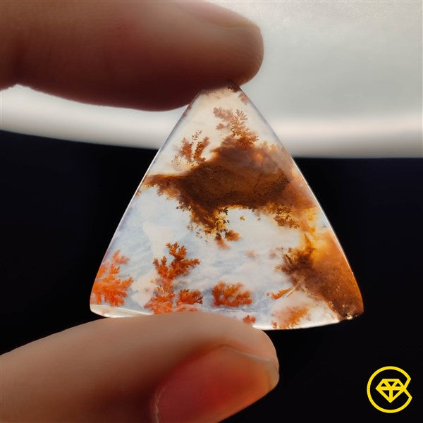 Dendritic Agate