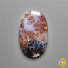 Dendritic Agate