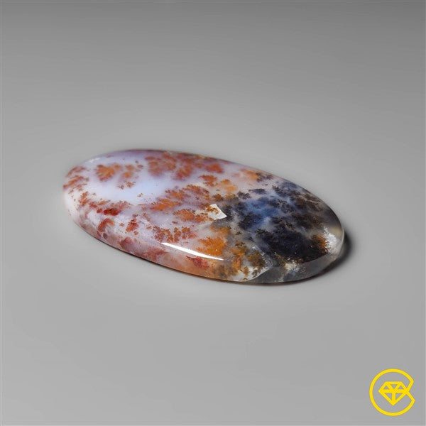 Dendritic Agate