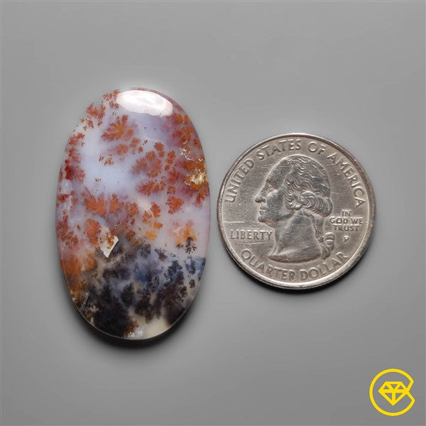 Dendritic Agate