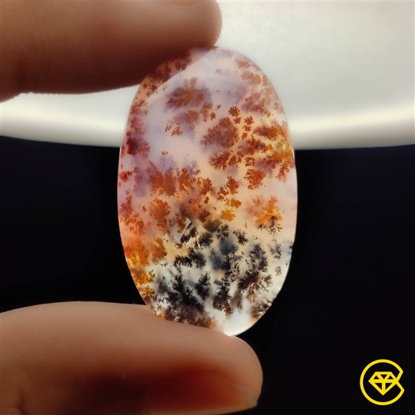 Dendritic Agate