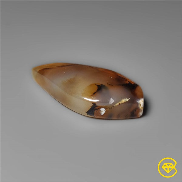 Montana Agate