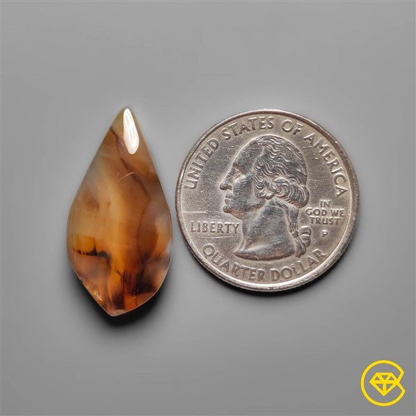 Montana Agate
