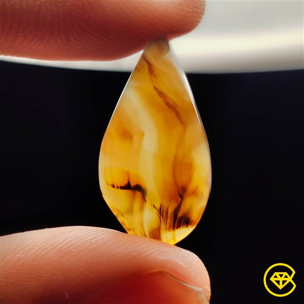 Montana Agate