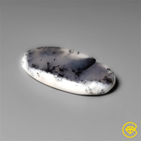 Dendritic Agate