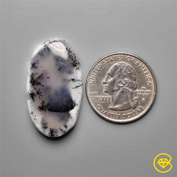 Dendritic Agate
