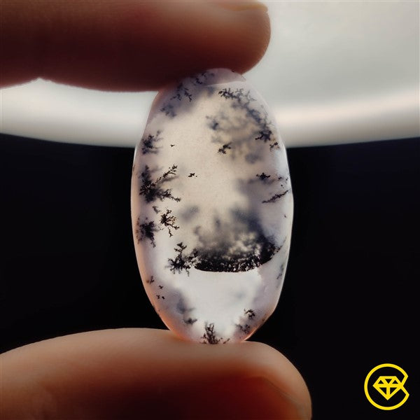 Dendritic Agate