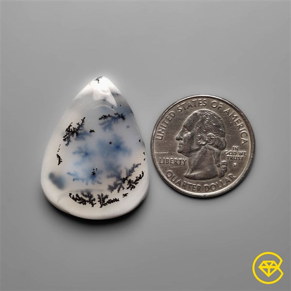 Dendritic Agate